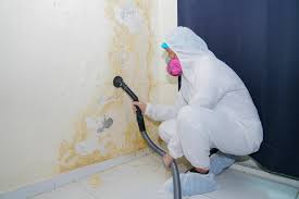 Best Emergency Mold Remediation  in Ke Charles, LA